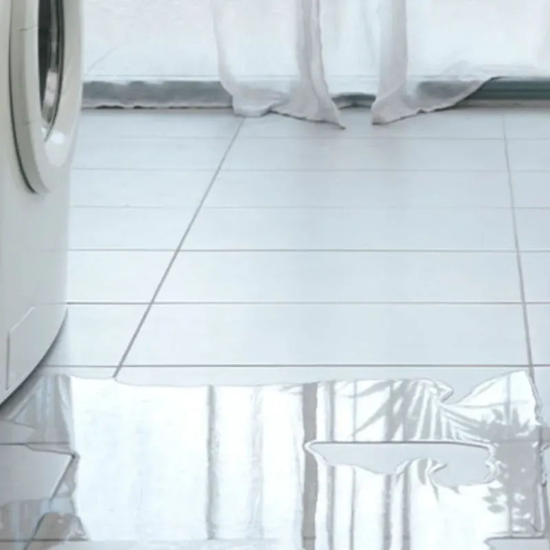 Appliance Leak Cleanup in Erath, LA