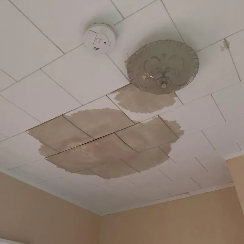 Ceiling Water Damage Repair in Erath, LA