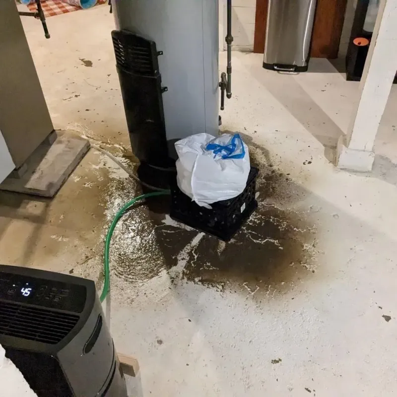 Sewage Backup Cleanup Service in Erath, LA